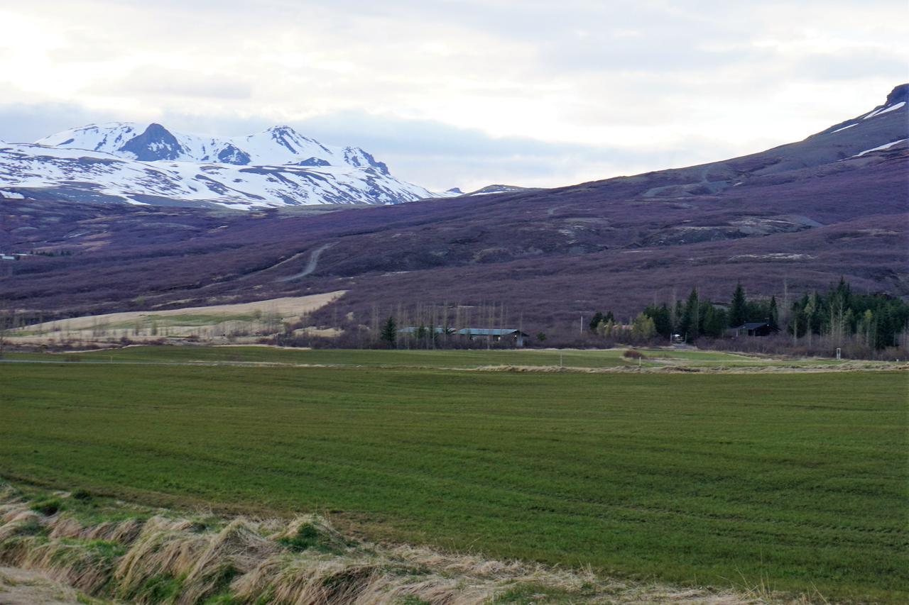 Middalskot Cottages Laugarvatn Exterior photo